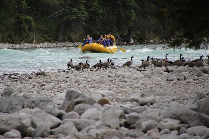 Athabasca River Mile 5 - Is C$78.79 a fair price?