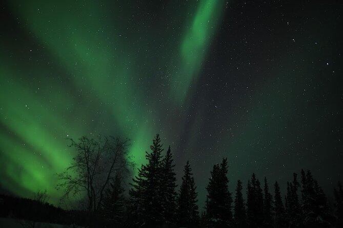 Aurora Chasing + Aurora Lodge - Weather, cancellation, and the luck factor