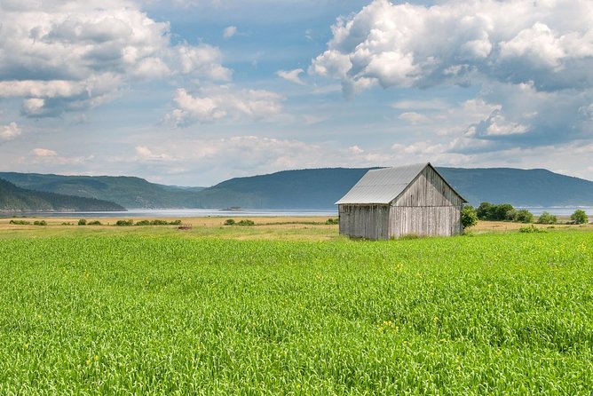 Back Country of the Fjord and the National Park - Comfort, walking, and the bus ride
