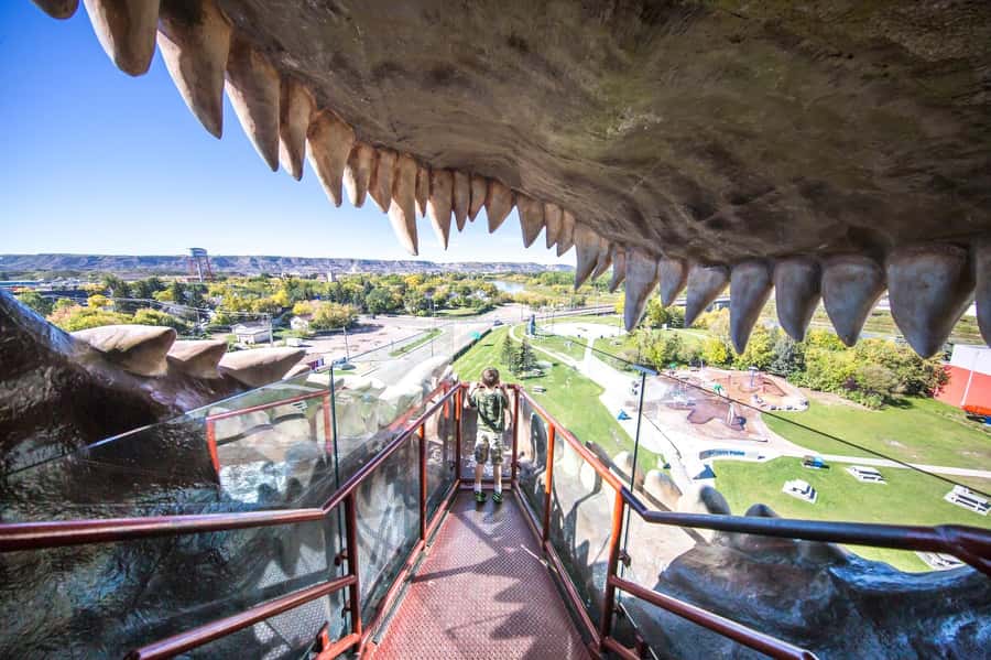 Badlands Tour: Drumheller with Museum, Hoodoos & Coal Mine - Key points to know before booking