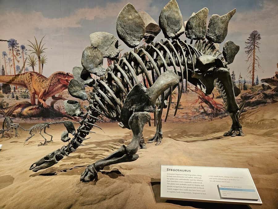 Badlands Tour: Drumheller with Museum, Hoodoos & Coal Mine - Drumheller’s giant dinosaur is more than a roadside photo