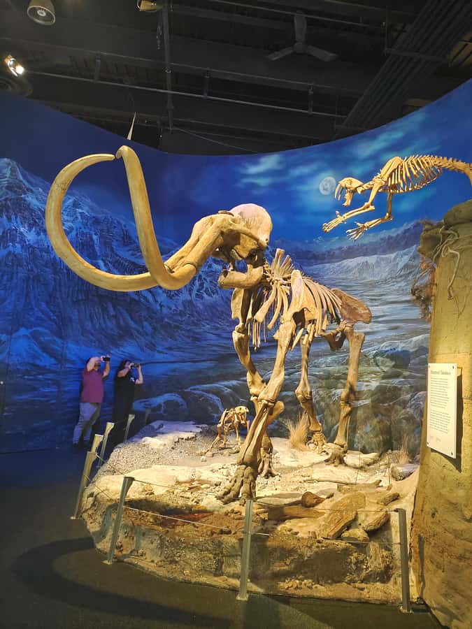 Badlands Tour: Drumheller with Museum, Hoodoos & Coal Mine - The Hoodoos Trail delivers the Badlands’ strangest shapes