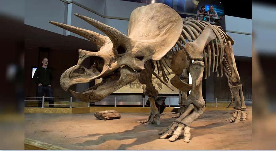 Badlands Tour: Drumheller with Museum, Hoodoos & Coal Mine - Is $126 a fair price?