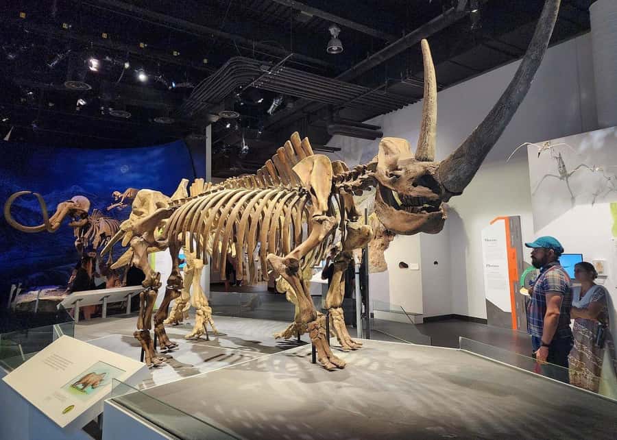 Badlands Tour: Drumheller with Museum, Hoodoos & Coal Mine - Who will enjoy this tour most?