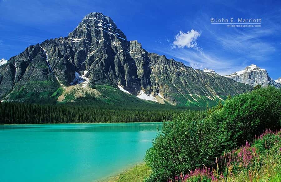 Banff and Jasper National Parks: Tour with Transport - Guides, driving, and the human side of the tour