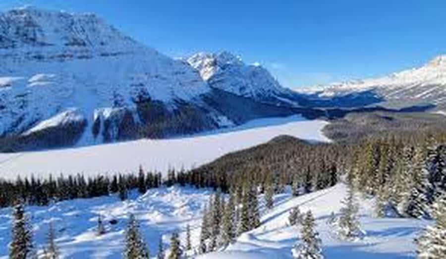 Banff and Jasper National Parks: Tour with Transport - Comfort, timing, and what to pack