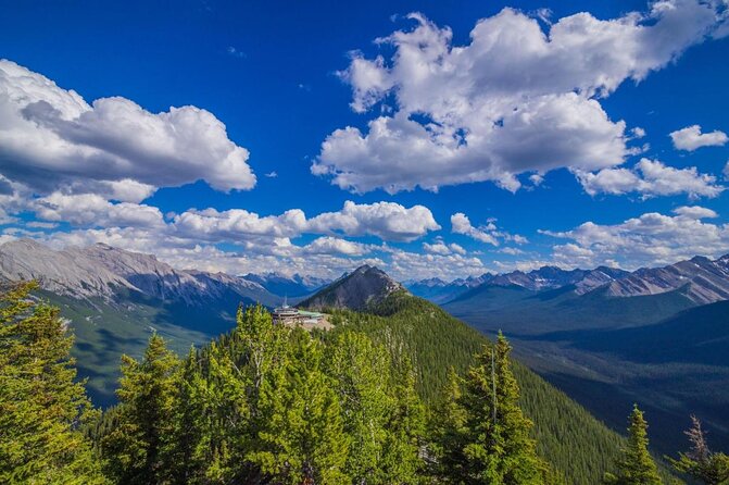 Banff Area & Johnston Canyon 1-Day Tour from Calgary or Banff - Who this Banff day trip is really for