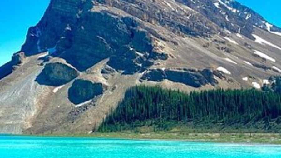 Banff/Calgary/Canmore: Crowfoot Glacier and 5 Lakes Tour - Peyto Lake delivers the big visual payoff