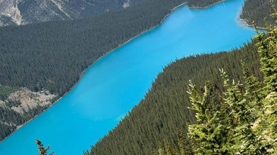 Banff/Calgary/Canmore: Crowfoot Glacier and 5 Lakes Tour - Bow Lake and Herbert Lake slow the rhythm