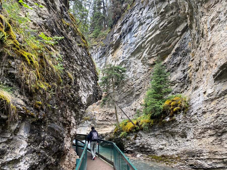 Banff/Canmore: Moraine Lake 1.5h & Lake Louise Half-Day Tour - Lake Louise: one hour and fifteen minutes by the water