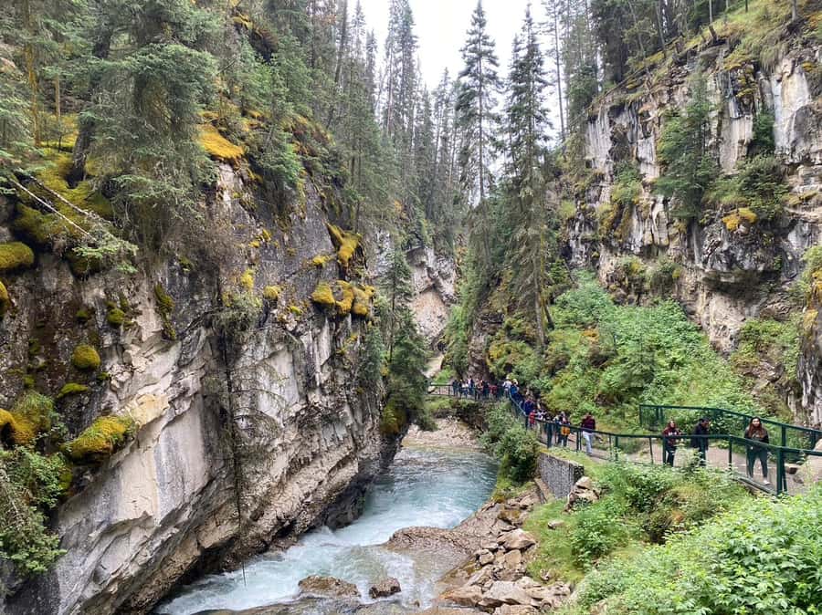 Banff/Canmore: Moraine Lake 1.5h & Lake Louise Half-Day Tour - What the guides add to the day
