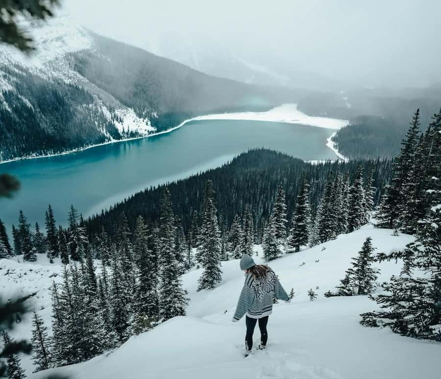 Banff: Columbia Icefield, Skywalk, Parkway, Bow & Peyto Lake - Why this full-day Rockies trip makes sense