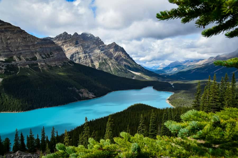 Banff: Columbia Icefield, Skywalk, Parkway, Bow & Peyto Lake - Peyto Lake, where the color does the talking