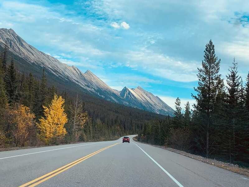 Banff: Columbia Icefield, Skywalk, Parkway, Bow & Peyto Lake - Bow Lake and the rhythm of short scenic stops