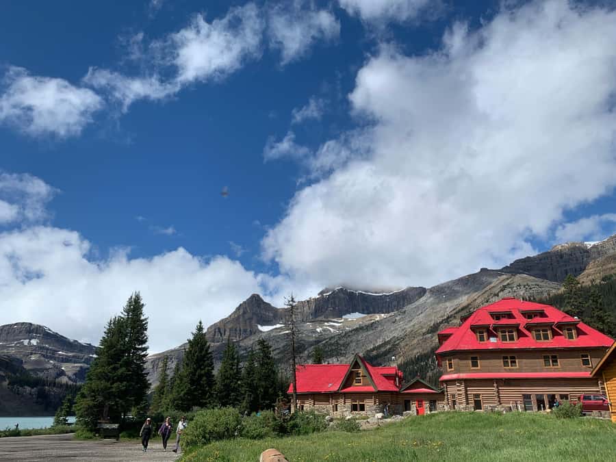 Banff: Columbia Icefield, Skywalk, Parkway, Bow & Peyto Lake - From Calgary to the Icefields Parkway