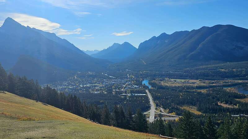 Banff: Evening Wildlife Safari Guided Tour - Why an evening safari works well in Banff