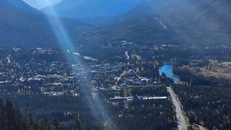 Banff: Evening Wildlife Safari Guided Tour - The best way to prepare