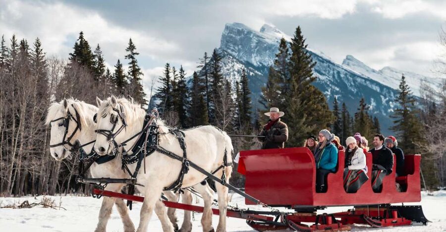 Banff: Family Friendly Horse-Drawn Sleigh Ride - Who will enjoy this ride most?
