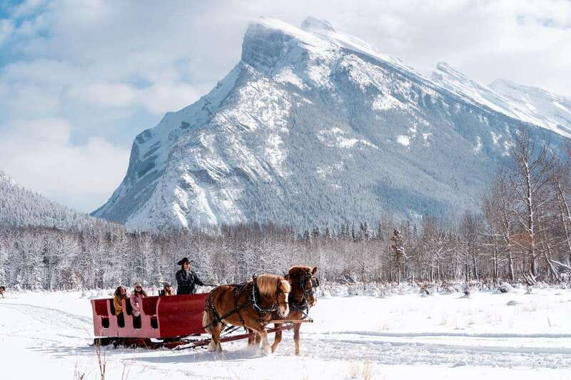 Banff: Family Friendly Horse-Drawn Sleigh Ride - Know what kind of route to expect