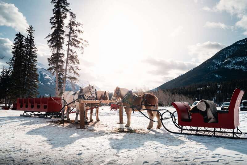 Banff: Family Friendly Horse-Drawn Sleigh Ride - Snow, wagons, and very cold weather