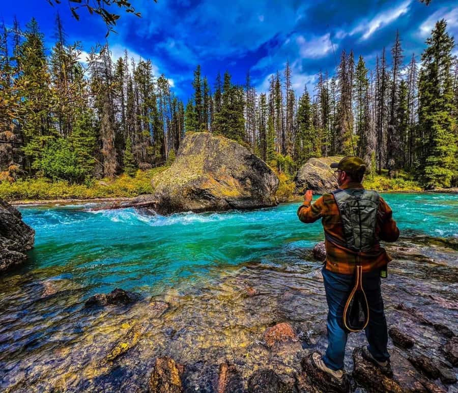 Banff: Gondola, Hot Springs, Bow falls & Three lakes tour - Lake Louise and the first big mountain view