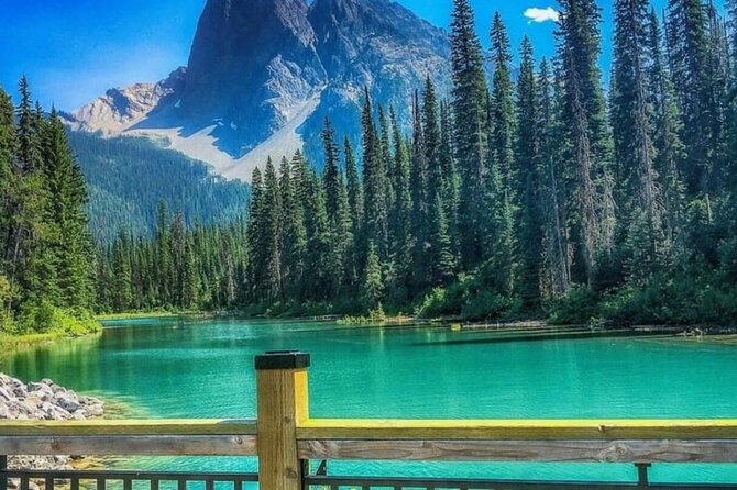 Banff Gondola, Lake Louise, Emerald Lake and Lake Minnewanka Tour - What the guides add to the experience