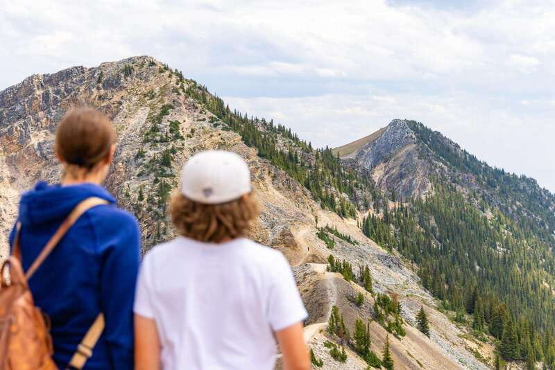 Banff: Grizzly Bear Refuge Tour with Lunch - Is $229 a fair price?