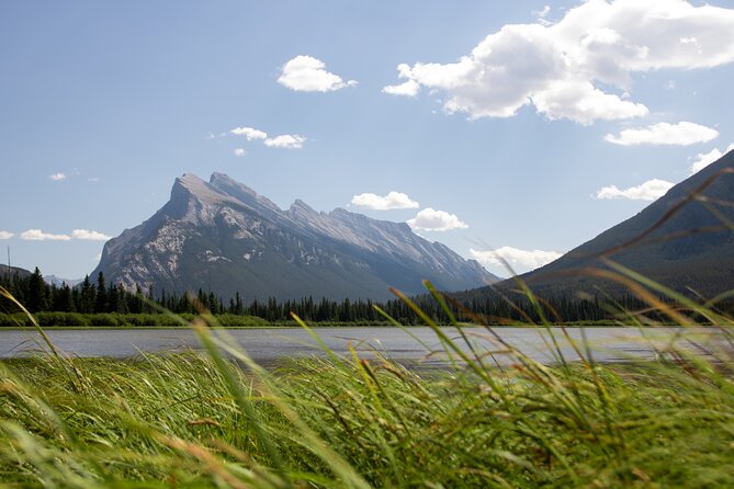 Banff Highlights & Wildlife | Award-Winning Small Group Adventure - Wildlife sightings can range from elk herds to nothing at all