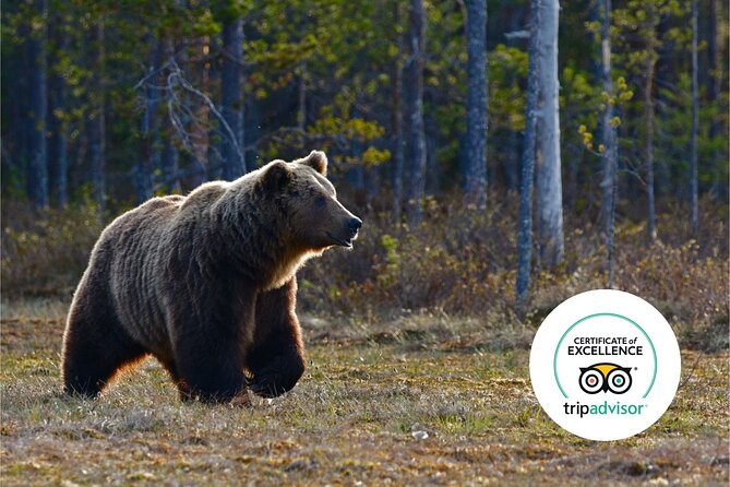 Banff Highlights & Wildlife | Award-Winning Small Group Adventure - The minibus makes a real difference