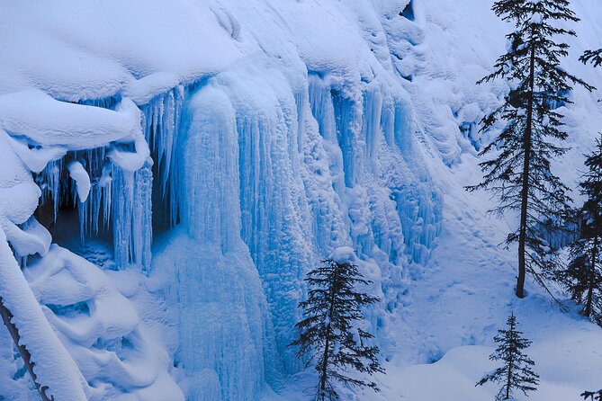 Banff, Lake Louise and Johnston Canyon - Winter Wonderland Tour - The Surprise Stops Around Banff
