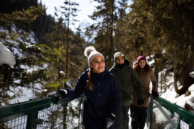 Banff, Lake Louise and Johnston Canyon - Winter Wonderland Tour - Guides Make the Difference