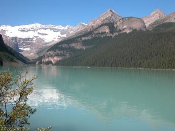 Banff, Lake Louise and Johnston Canyon - Winter Wonderland Tour - Lunch at Lake Louise Village