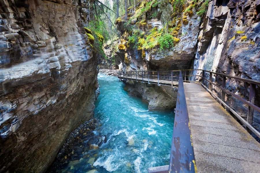 Banff : Lake Louise, Moraine, Emerald & Johnston Canyon tour - Key points to know before booking
