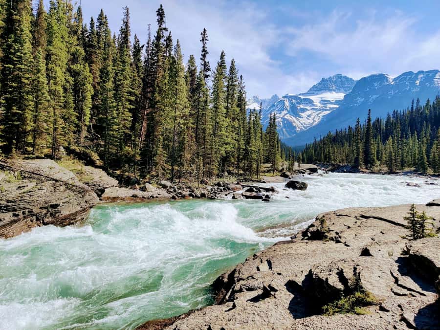 Banff: Moraine Lake, Lake Louise, Emerald Lake and Yoho Trip - Why this tour makes sense for a first Rockies day