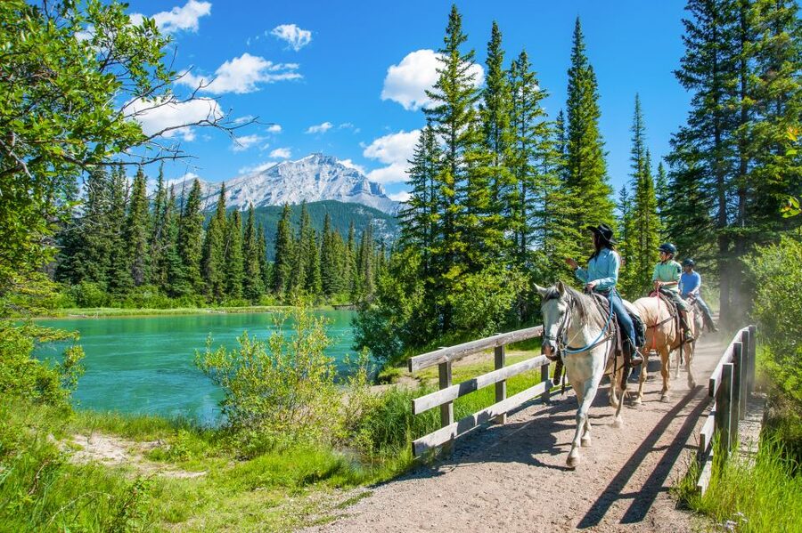 Banff National Park: 1-Hour Bow River Horseback Ride - What the $78 price includes