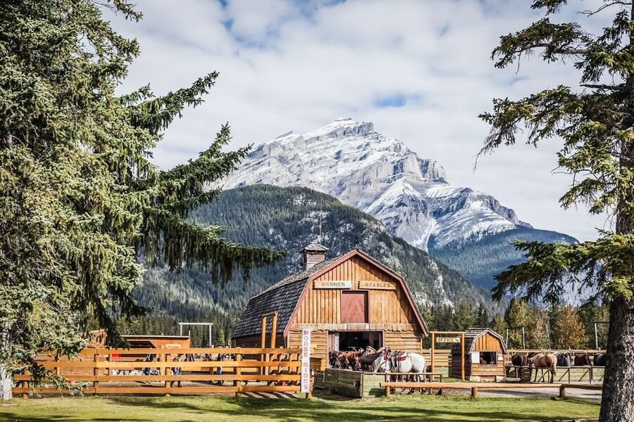 Banff National Park: 1-Hour Bow River Horseback Ride - Meeting your horse and learning the basics