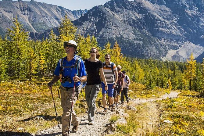 Banff National Park Guided Hike with Lunch - Larch Valley and Moraine Lake: the big scenery day