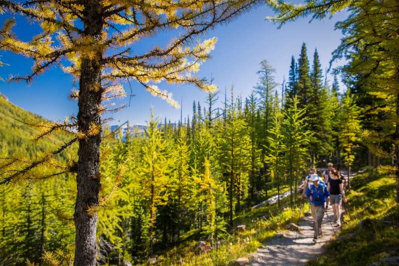 Banff National Park: Guided Signature Hikes with Lunch - Stanley Glacier: Fire, Ice, and Fossils