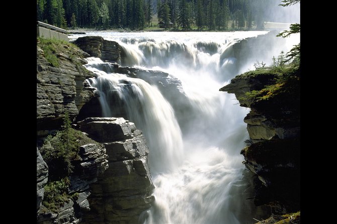Banff to Jasper One-Way Tour - Four hours at the Columbia Icefield