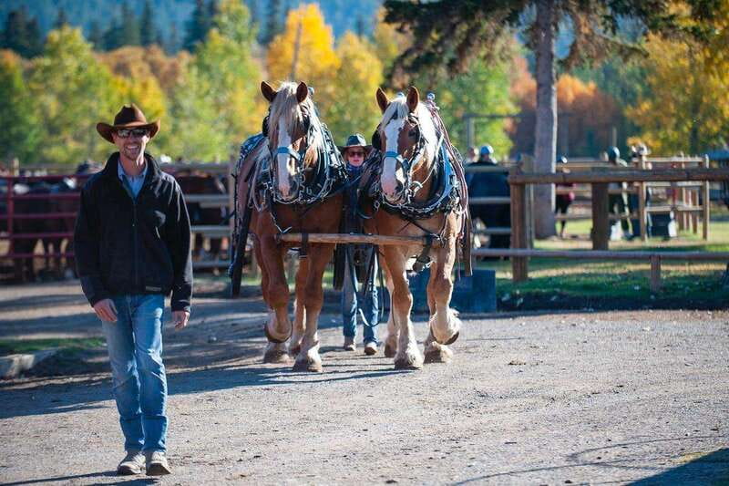Banff: Wagon Ride with Cowboy Cookout BBQ - Quick take: five things worth knowing