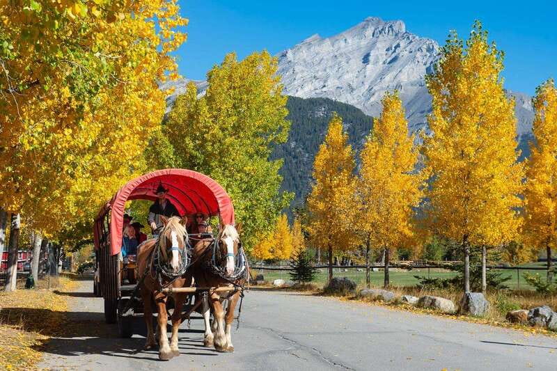 Banff: Wagon Ride with Cowboy Cookout BBQ - The 3 Mile Cabin cookout