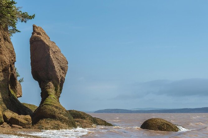 Bay of Fundy Tour by Bus - Key details before you book