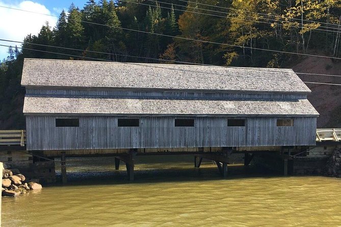 Bay of Fundy Tour by Bus - Reversing Falls Rapids: the tour’s natural headline