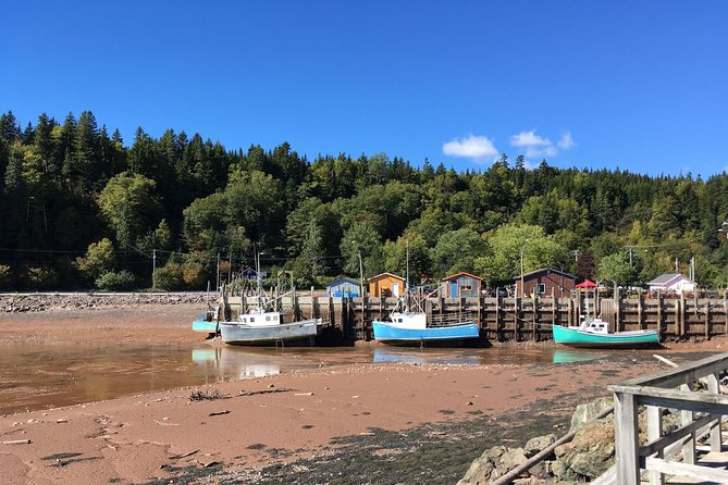 Bay of Fundy Tour by Bus - Carleton Martello Tower adds a compact military landmark