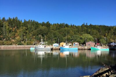 Bay of Fundy Tour by Bus