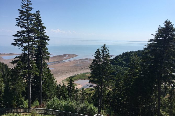Bay of Fundy Tour by Bus - Saint John City Market brings you back to local life