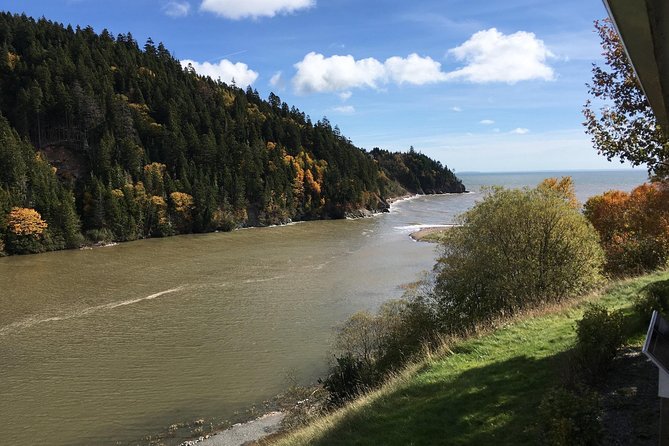 Bay of Fundy Tour by Bus - Guides can make or break the long ride