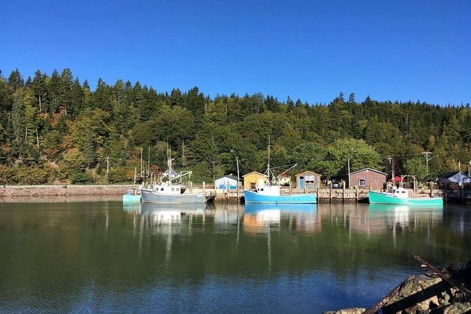Bay of Fundy Tour by Bus - Fort Howe gives you a city view and a history lesson
