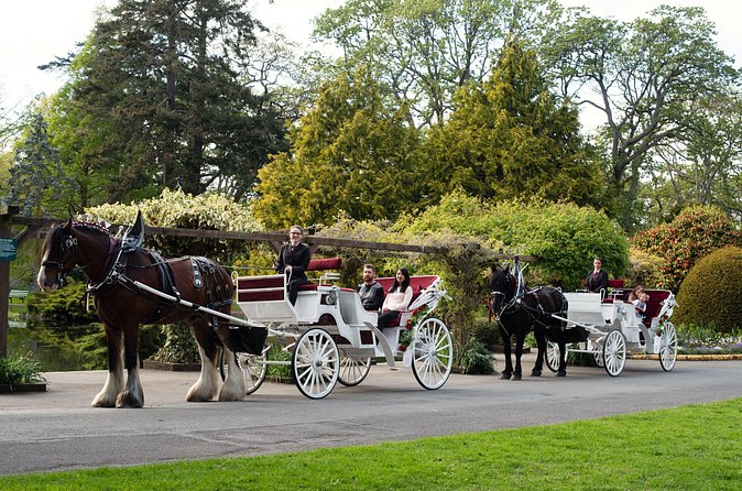 Beacon Hill Park Horse-Drawn Carriage Experience in Victoria - Evening rides, blankets, and weather limits