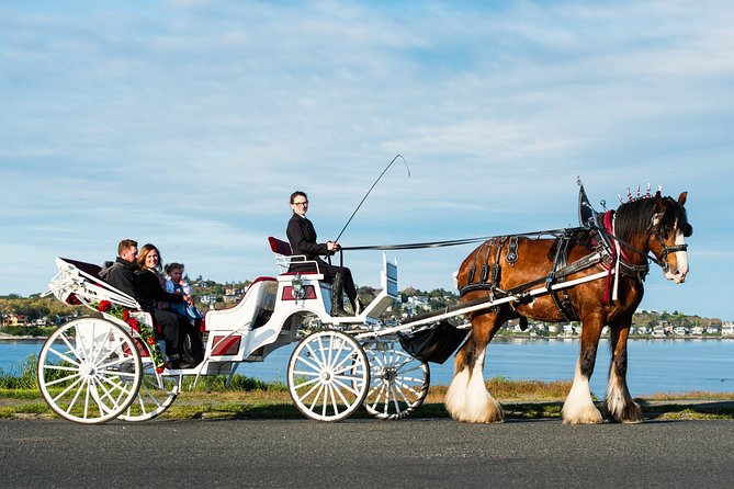 Beacon Hill Park Horse-Drawn Carriage Experience in Victoria - Beacon Hill Park: gardens, ponds, and a very tall totem pole